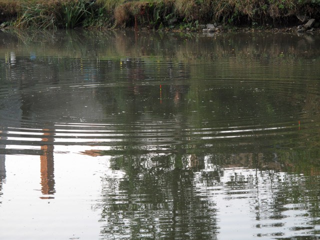 Angličan ve vodě